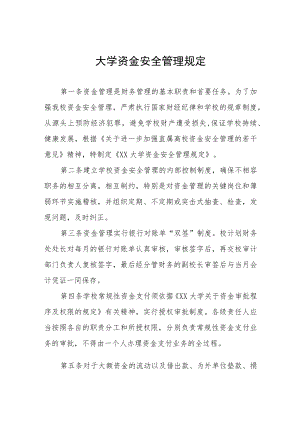 大学资金安全管理规定.docx