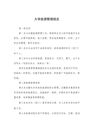 大学能源管理规定.docx