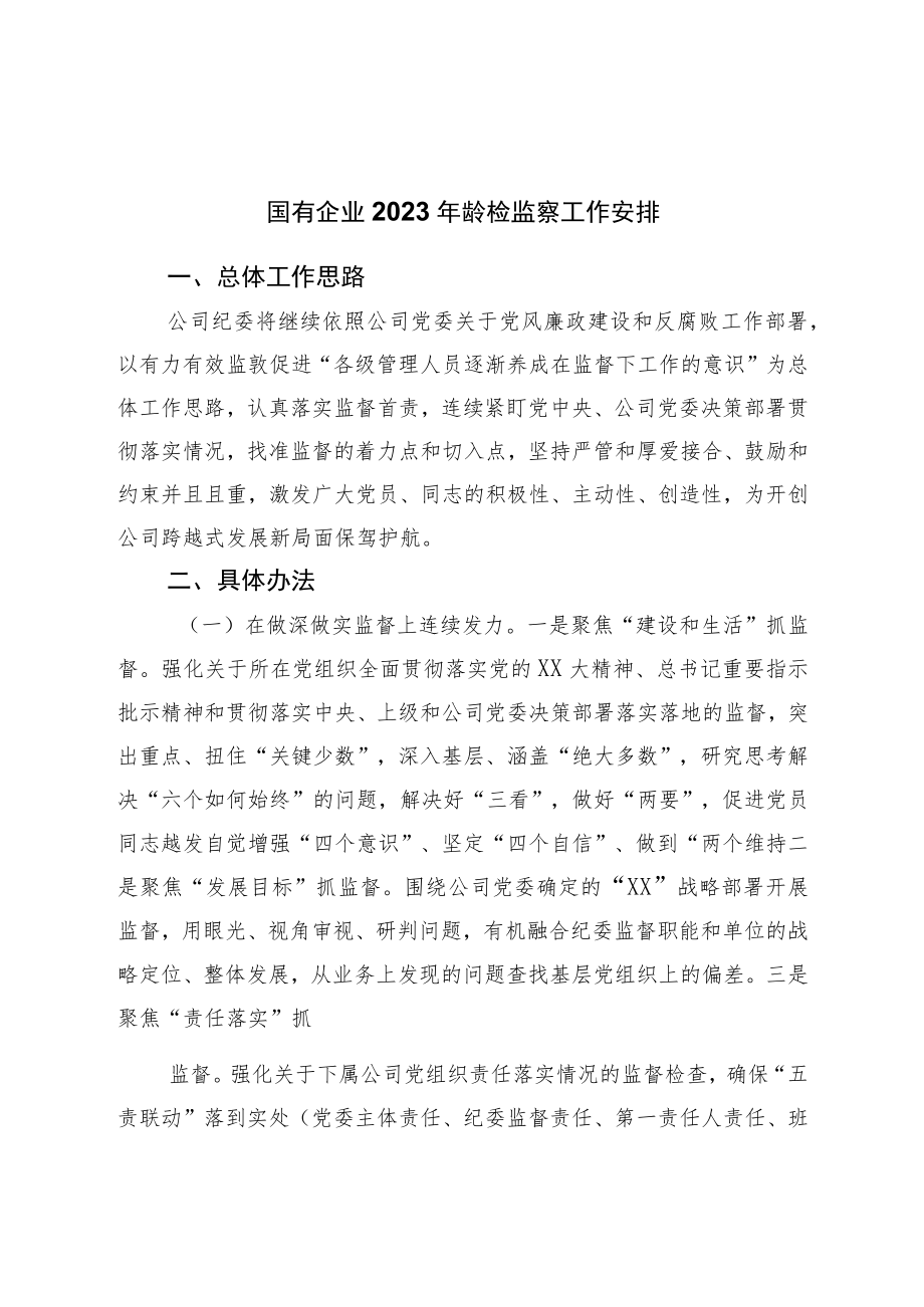 国有企业2023年纪检监察工作安排.docx_第1页