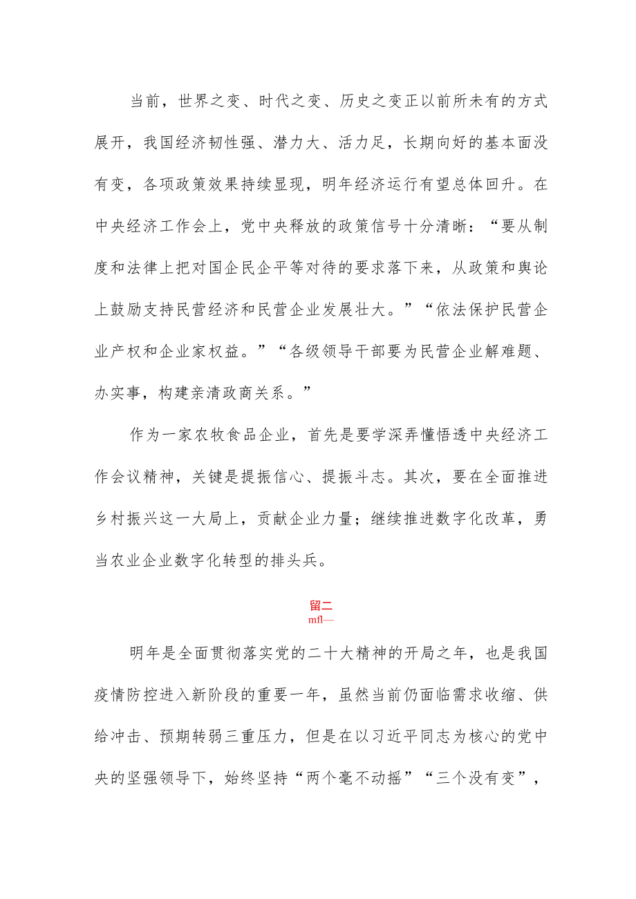 名营企业学习贯彻中央经济工作会议精神心得体会四篇.docx_第2页