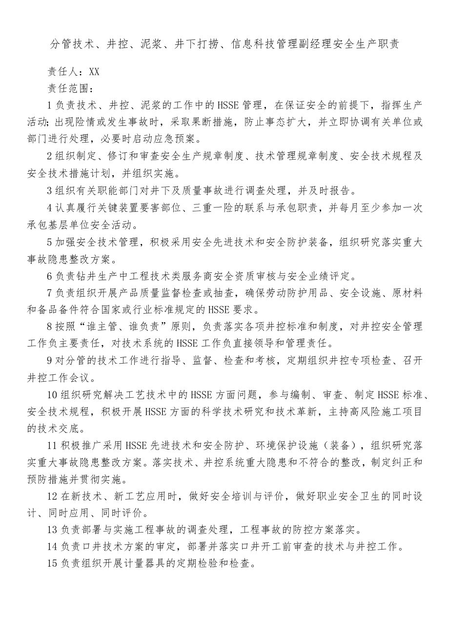 分管技术、井控、泥浆、井下打捞、信息科技管理副经理安全生产职责.docx_第1页