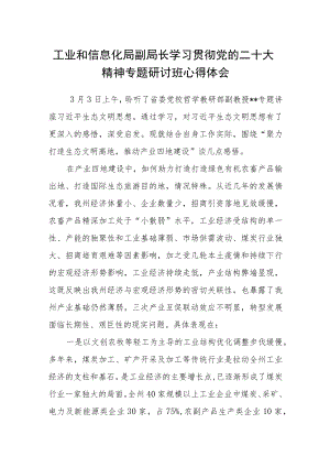 工业和信息化局副局长学习贯彻党的二十大精神专题研讨班心得体会.docx