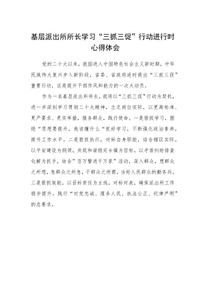 基层派出所所长学习“三抓三促”行动进行时心得体会.docx