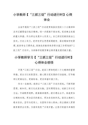 小学教师【“三抓三促”行动进行时】心得体会(精选三篇).docx