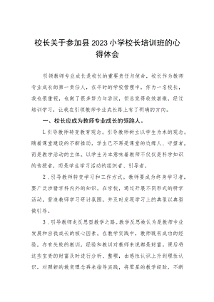 2023年小学校长管理培训心得体会3篇样本.docx