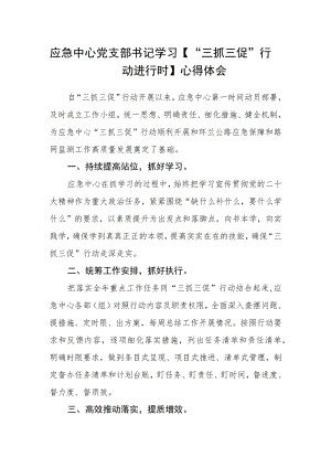 应急中心党支部书记学习【“三抓三促”行动进行时】心得体会.docx