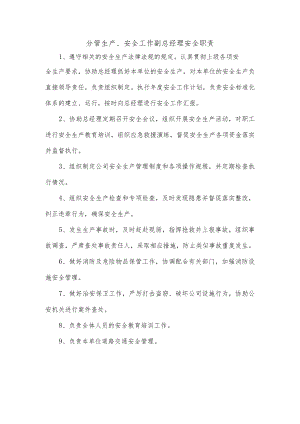 分管生产、安全工作副总经理安全职责.docx