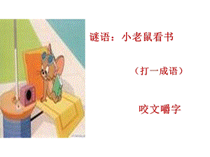 咬文嚼字正式课件.ppt