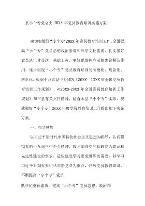 县小个专党总支20XX年党员教育培训实施方案.docx