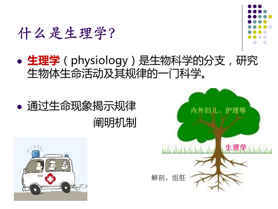 01生理学绪论.ppt_第3页