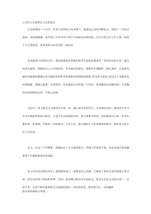 小学班主任教师实习自我鉴定.docx