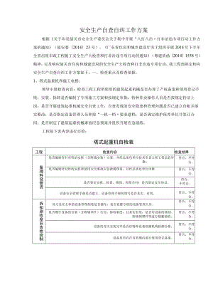 安全生产大检查和项目安全生产自查工作方案.docx