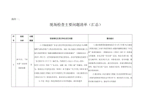 广东四会问题清单（反馈稿）.docx