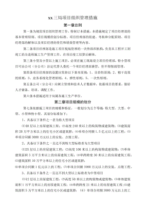 局项目组织管理办法.docx