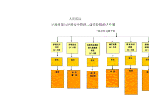 护理质量与护理安全管理二级质控组织结构图.docx