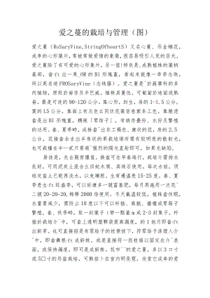 愛之蔓的栽培与管理.docx