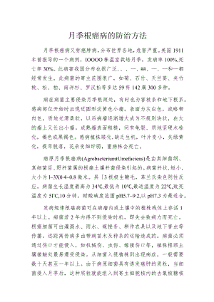 月季根癌病的防治方法.docx