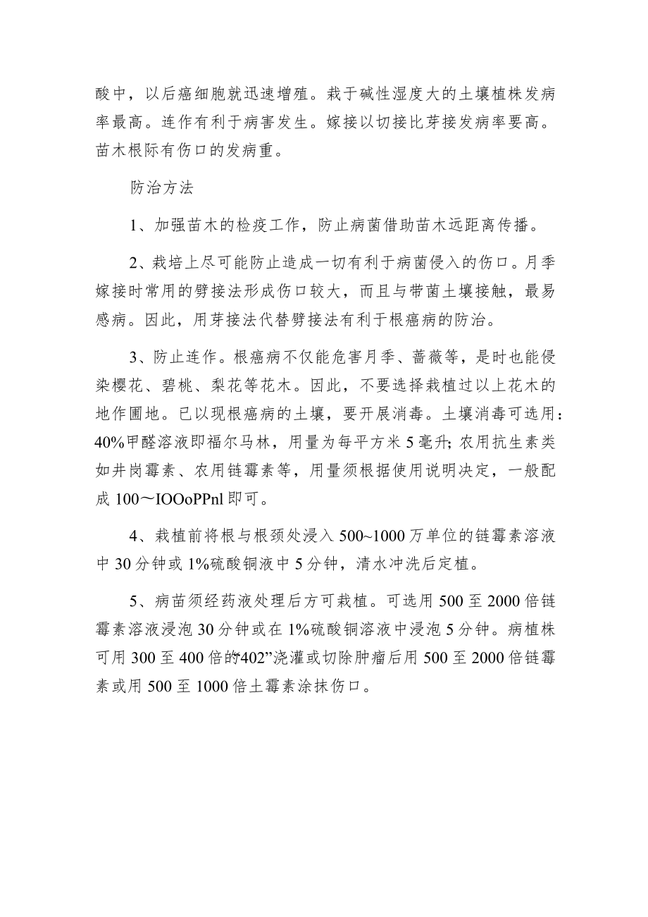 月季根癌病的防治方法.docx_第2页