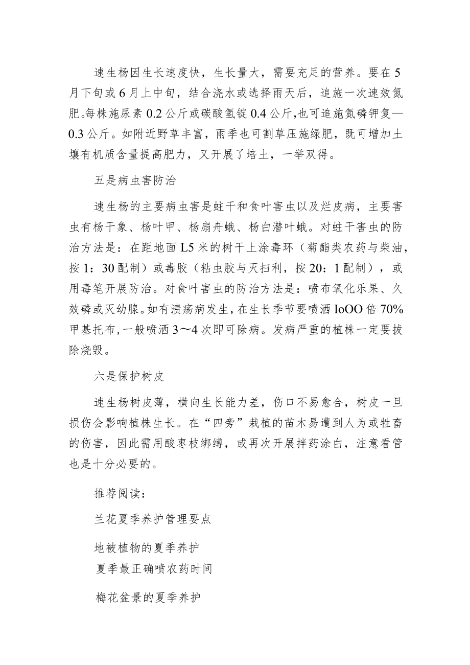 新栽速生杨夏季管理六要点.docx_第2页