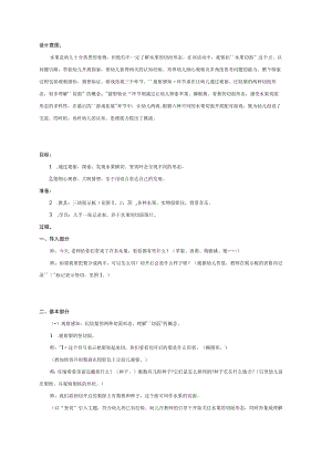 幼儿园《中班科学活动：切开后的水果》教案.docx