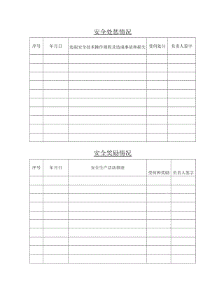 安全标准化之安全奖惩情况.docx