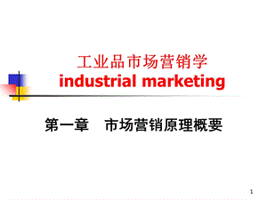 工业品市场营销学.ppt