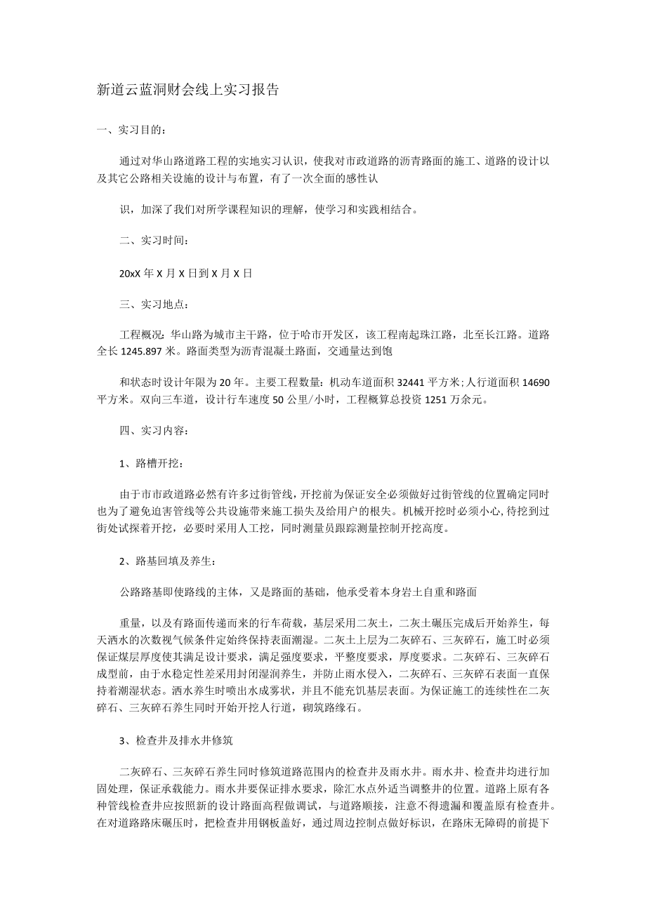 新道云蓝洞财会线上实习报告.docx_第1页