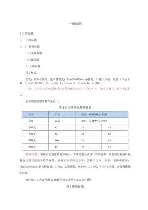 方案文字编写格式.docx