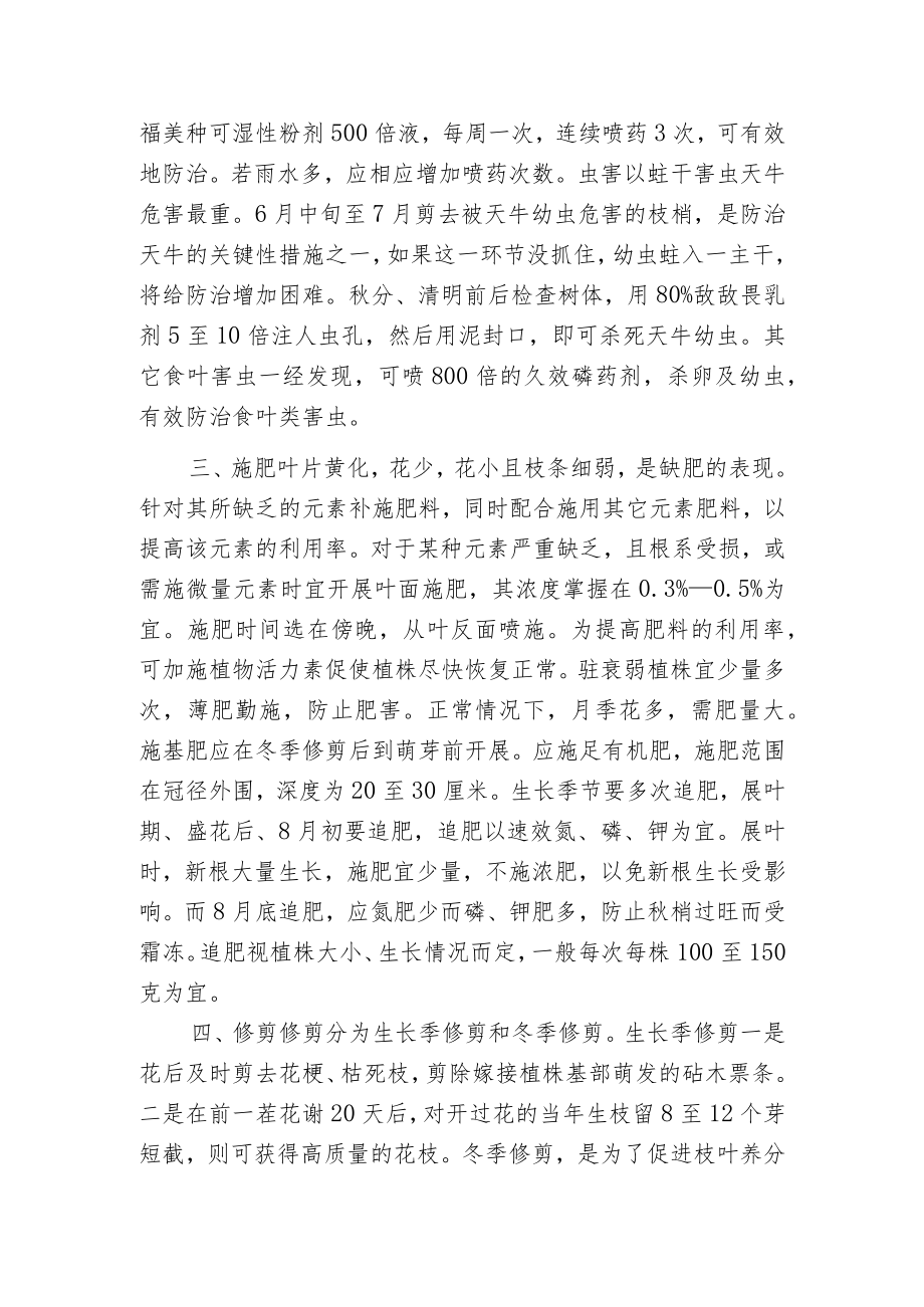 月季栽培管理和病虫害防治.docx_第2页