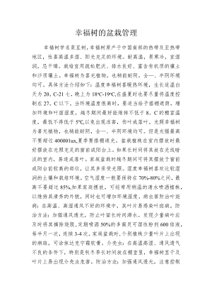 幸福树的盆栽管理.docx