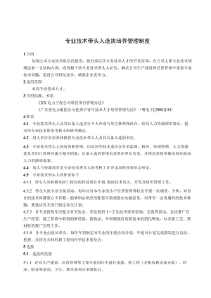 工程公司专业技术带头人选拔培养管理制度.docx