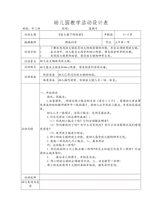 幼儿园《放大镜下的秘密》教案.docx