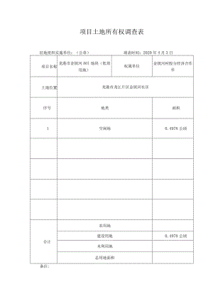 项目土地所有权调查表.docx