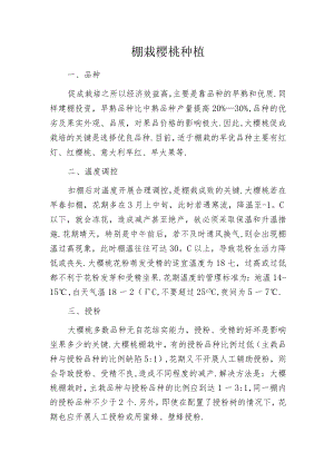 棚栽樱桃种植.docx