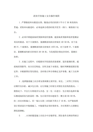 洞身开挖施工安全操作规程.docx