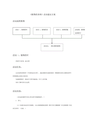 《植物的身体》活动建议方案.docx