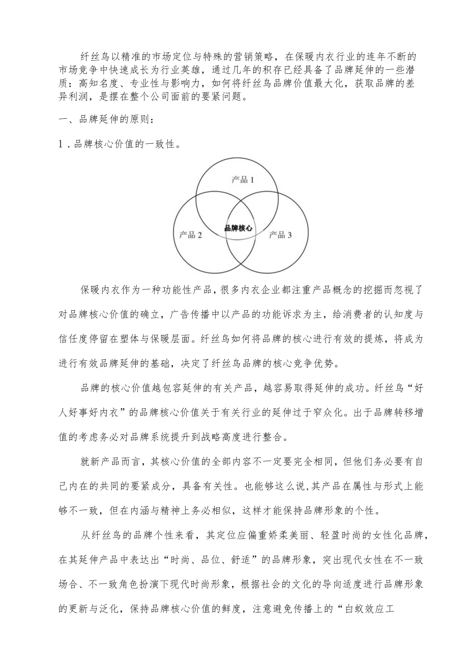 某科技发展品牌延伸方案.docx_第2页