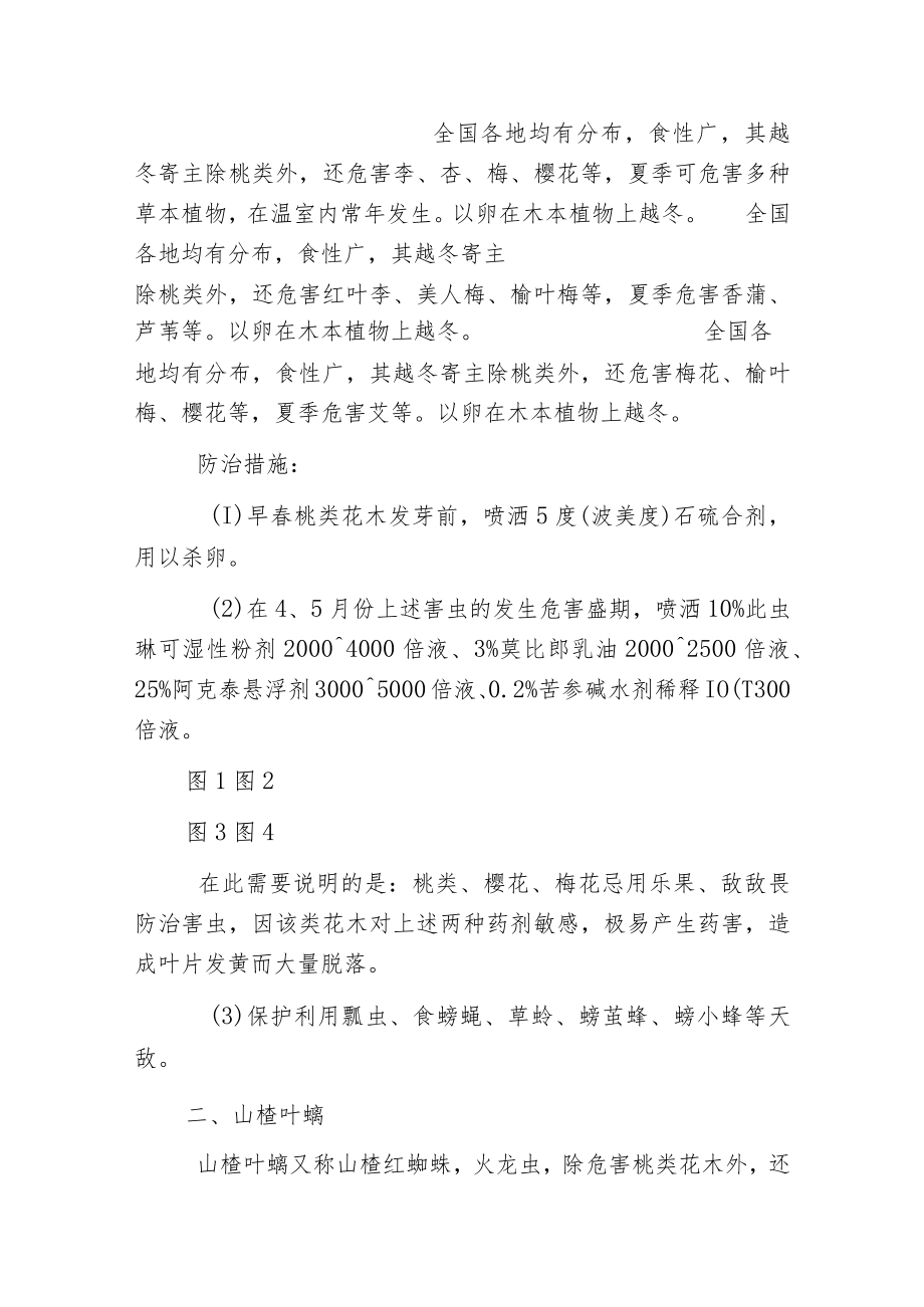 桃类花木害虫的识别与防治.docx_第2页