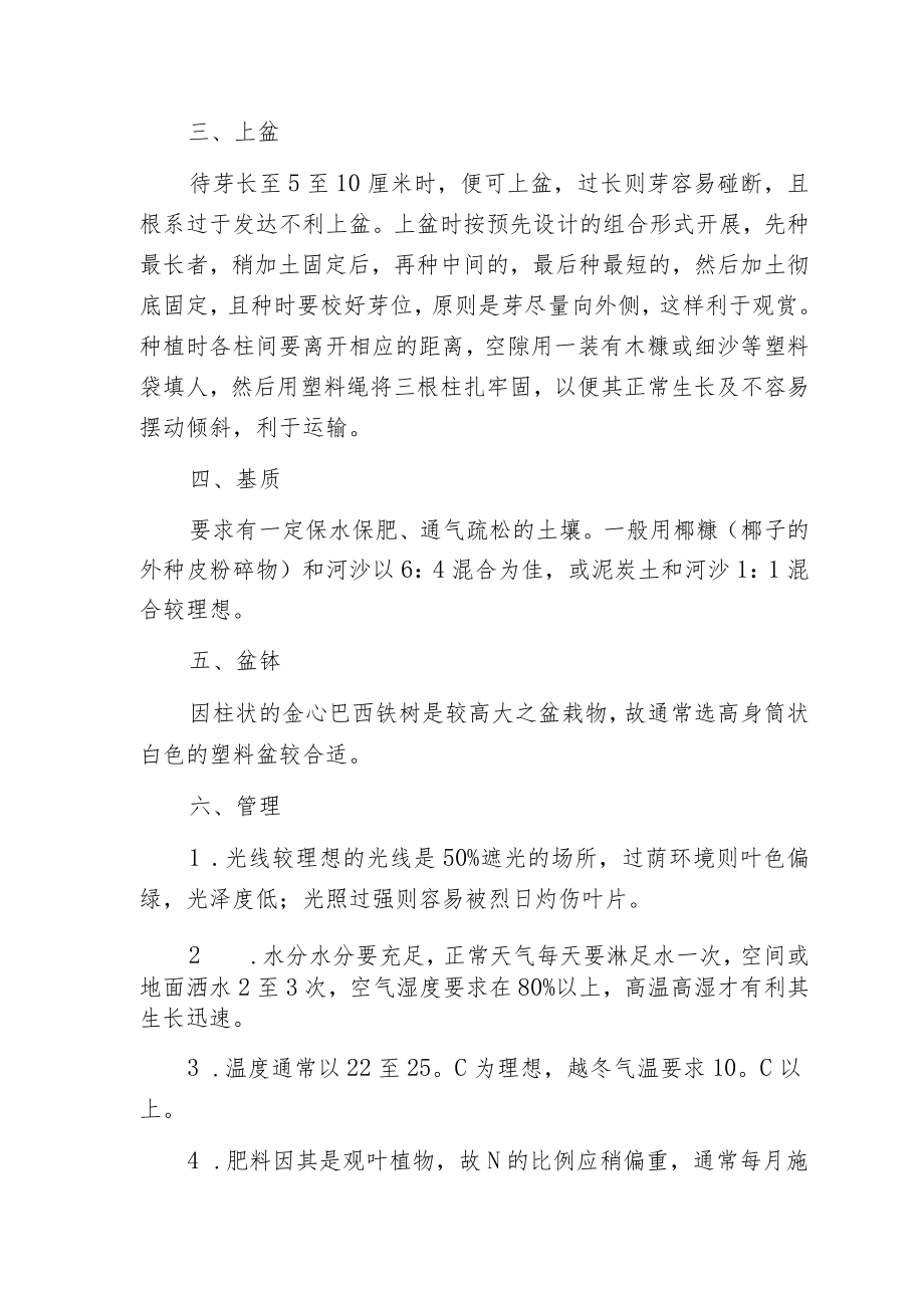 柱状金心巴西铁树栽培技术.docx_第2页