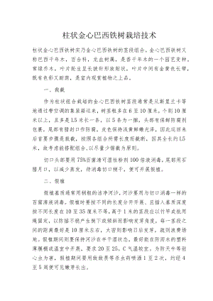 柱状金心巴西铁树栽培技术.docx