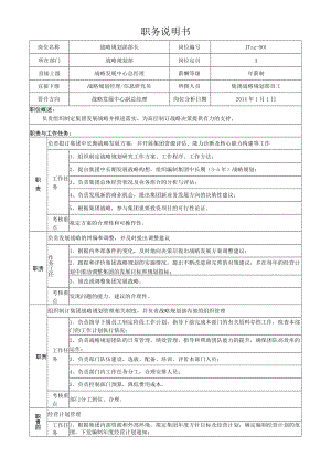 1战略规划部长岗位说明书.docx