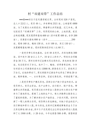 村“双建双带”工作总结.docx