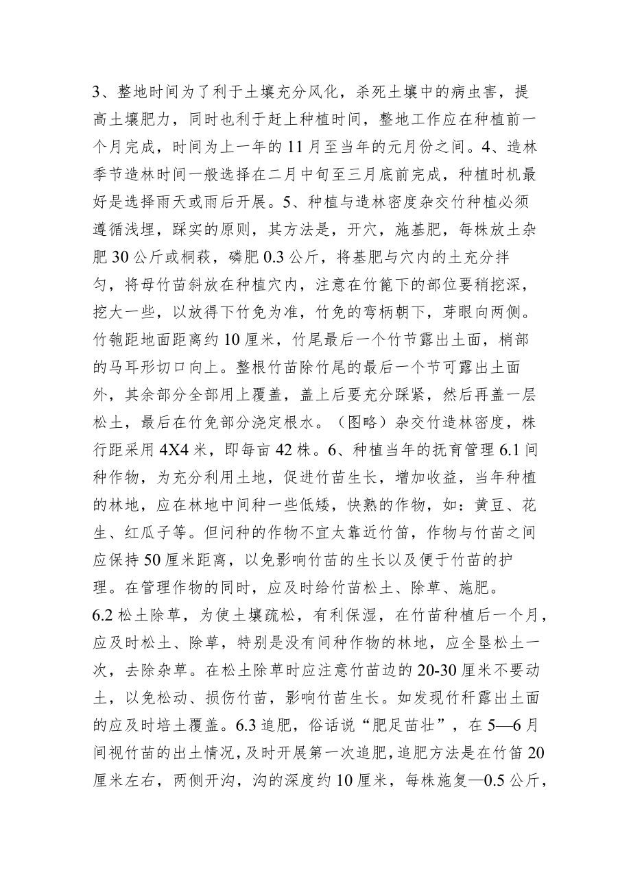 杂交撑绿竹如何管理.docx_第2页