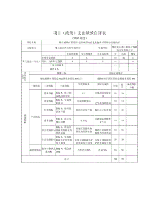 项目政策支出绩效自评表.docx