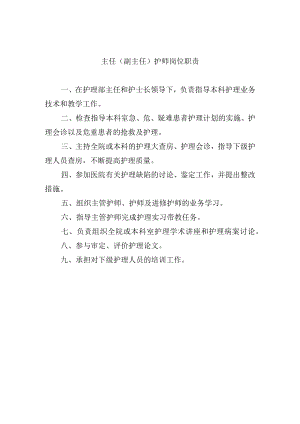 主任（副主任）护师岗位职责.docx