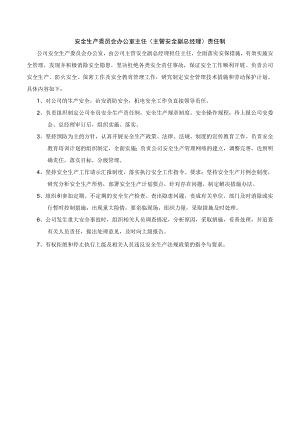 某公司安全生产委员会办公室主任（主管安全副总经理）安全责任制.docx