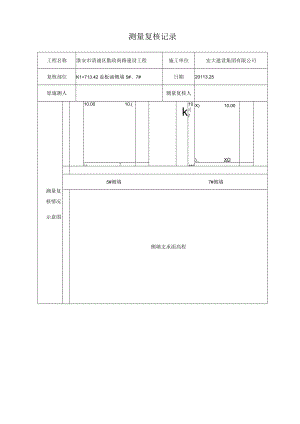 模板测量复核记录.docx