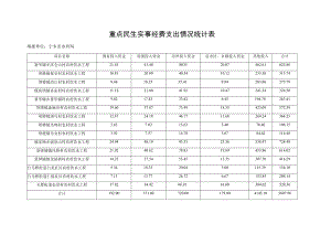 重点民生实事经费支出情况统计表.docx