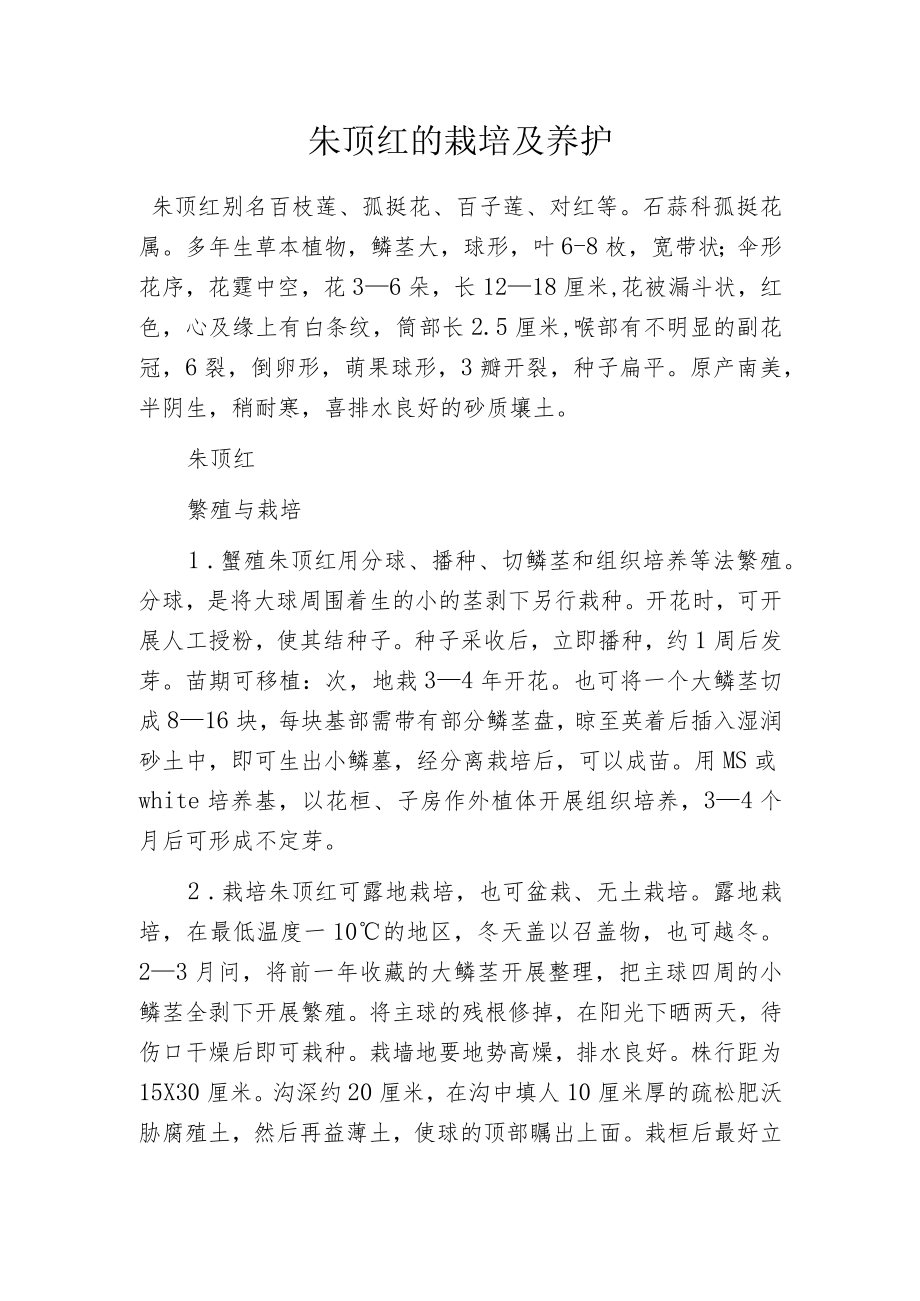 朱顶红的栽培及养护.docx_第1页