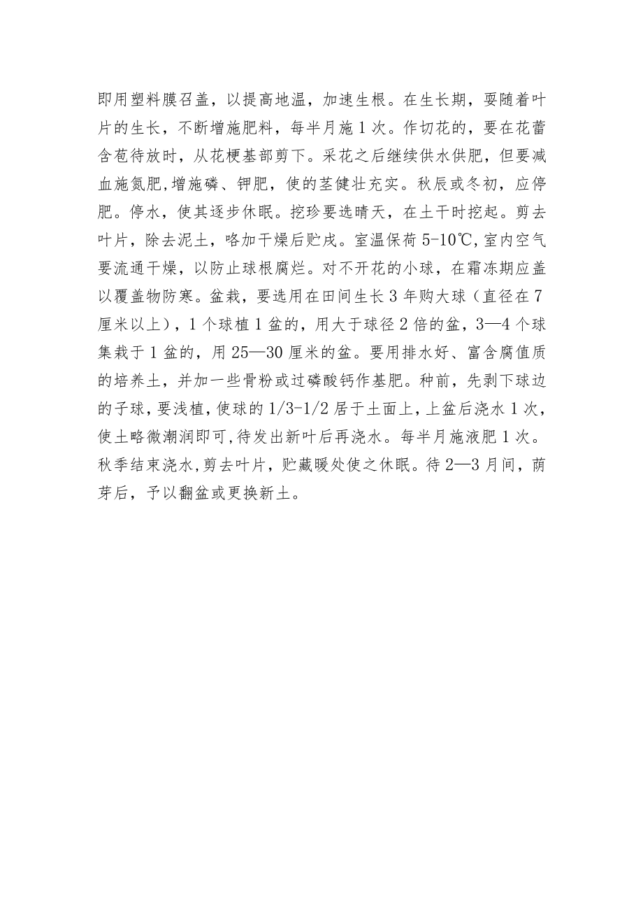 朱顶红的栽培及养护.docx_第2页